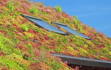 Middle Aston living roof systems